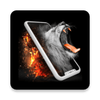 Responsive image