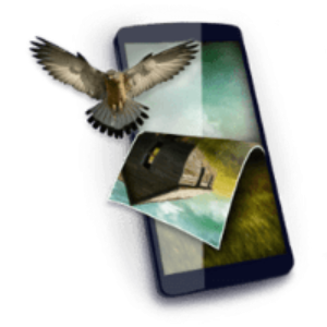 Responsive image