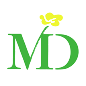Responsive image